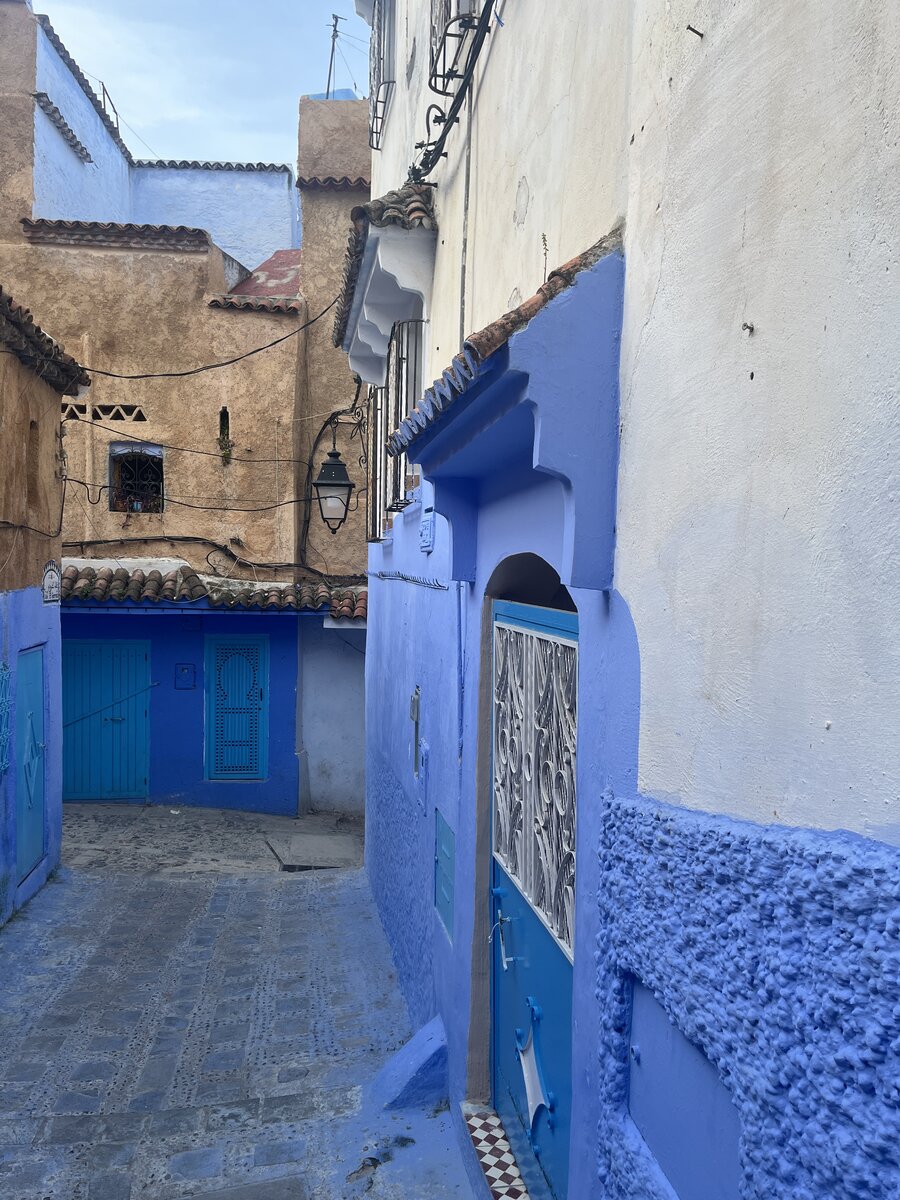 Galeria